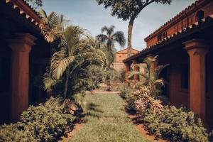 伊瓜苏港Hotel Guaminí Misión的一座种有棕榈树的花园及一座建筑