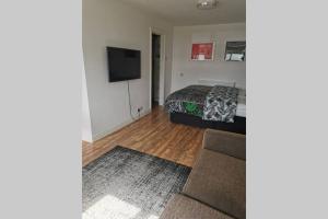 卡迪夫Stylish studio bungalow, close to Cardiff Centre的一间卧室配有一张床和一台平面电视