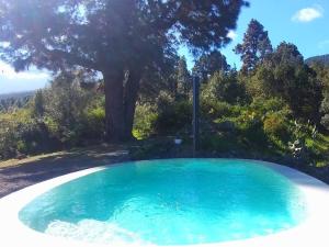 圣克鲁斯-德特内里费Finca Verode的一座大游泳池,后面有树