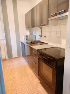 Apartment Paun的厨房或小厨房