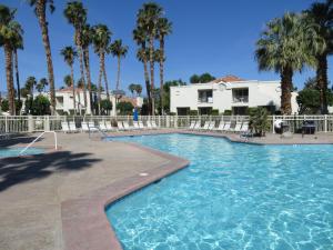 棕榈荒漠沙漠微风度假酒店的一座棕榈树游泳池和一座建筑