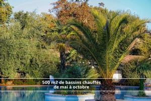 拉特斯特德布赫Chalet T3/clim/wifi/pkg/terrasse/15 min plages的游泳池前的棕榈树