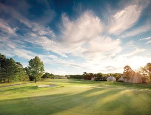 Fairfield BayClub Wyndham Resort at Fairfield Bay的享有高尔夫球场和绿色美景