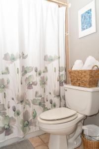 毛纳沃Apartment in Villas Del Faro Resort with WIFI的一间带卫生间和淋浴帘的浴室