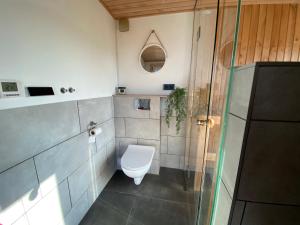 LokutiCozy house with sauna by the lake的一间带卫生间和玻璃淋浴间的浴室