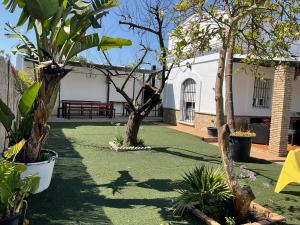 桑卢卡尔-德巴拉梅达Casa con Piscina en Sanlucar de Barrameda的花园内有两棵树,后边有长凳