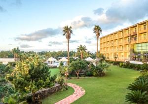 济州市蓝色夏威夷酒店的棕榈树度假村和大型建筑