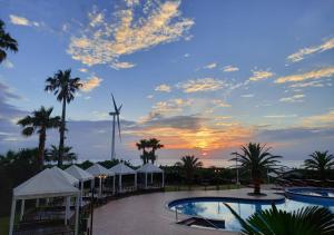 济州市蓝色夏威夷酒店的一座带风车的度假游泳池