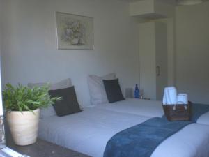 胡法利兹乌尔特住宿加早餐旅馆的一间卧室设有两张床和盆栽植物