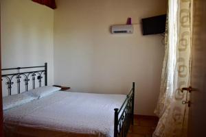CasoliVilla dei Vasari的一间卧室配有一张床和一台电视。
