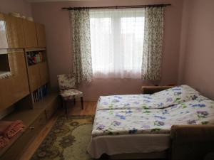 鲍洛托奈代里奇Hegyekre panorámás nyaraló Balatonedericsen的一间卧室设有一张床、一个窗口和一把椅子