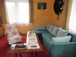 鲍洛托奈代里奇Hegyekre panorámás nyaraló Balatonedericsen的客厅配有蓝色的沙发和桌子