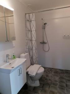 雷克桑德Dimgården的浴室配有卫生间、盥洗盆和淋浴。