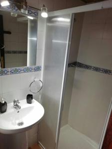 帕拉斯德丽Molino de Louzao的一间带水槽和淋浴的浴室