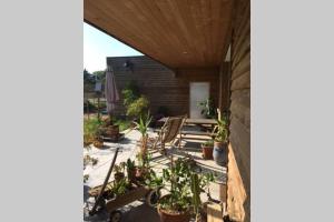 SchlierbachMaison individuelle avec terrasse proche de Bâle的庭院设有椅子和盆栽植物
