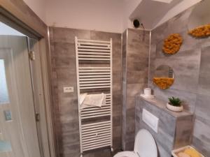 图尔恰Studio的一间带卫生间和淋浴的浴室