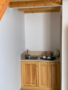 伊兹拉格拉罗斯宾馆的一个带木制橱柜和水槽的厨房