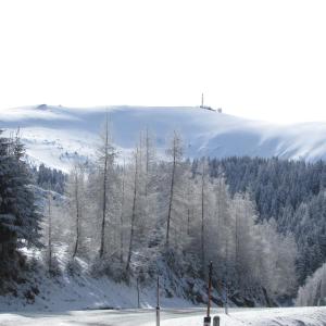 圣斯特凡卡琳加尼酒 的远处的一座有树木的雪覆盖的山丘