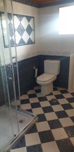MoránCasa do Cartón的一间带卫生间和 ⁇ 格地板的浴室