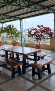 马查拉Hostal Solar Del Puerto的种植了植物的阳台的野餐桌和长椅