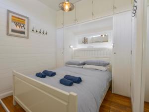 霍普湾2 Brook Cottages的一间卧室配有一张带蓝色枕头的床。