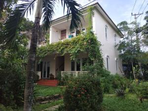 会安Nguyen Duy homestay的前面有棕榈树的白色房子