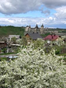 卡缅涅茨-波多利斯基Vacation home Lubov的远方的城堡,前方有白色的花朵