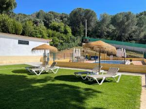 科尔多瓦CASA RURAL VlLLA ALGABA的游泳池附近的草地上摆放了两把躺椅和遮阳伞