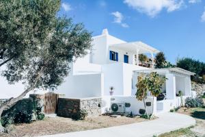 奥诺斯The Elaia House Mykonos的前面有一棵树的白色房子