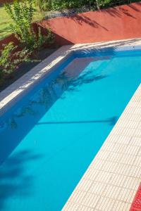 伊瓜苏港Alojamiento Aparecida的庭院里的一个蓝色海水游泳池