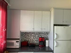 库卡里Xenia Apartment的厨房配有白色橱柜和白色冰箱。