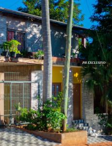 伊瓜苏港Alojamiento Aparecida的前面有棕榈树的房子