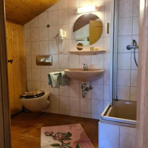容霍尔茨Haus Cornelia的一间带水槽、卫生间和镜子的浴室
