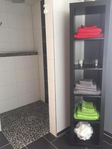 Kreuzaubei Valters的浴室设有红色和绿色毛巾淋浴。