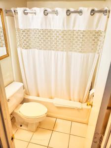 克里斯特尔里弗波特和马里纳酒店的一间带卫生间和淋浴帘的浴室