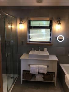 卡马森5 Luxury Lodge with beautiful views of the Taf Estuary的一间带水槽和淋浴的浴室