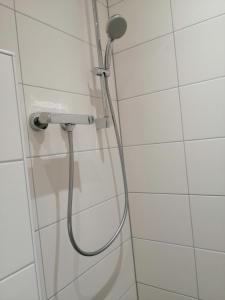 施特根雷克伯格酒店的浴室内配有淋浴和头顶淋浴