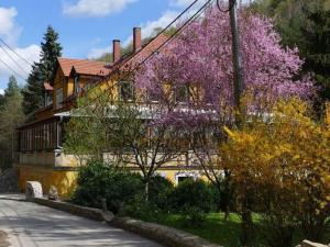 大希尔马Exclusive apartment in an art nouveau villa的街道前方有紫色树木的房子