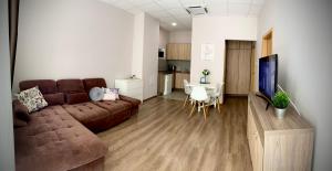 佐洛卡罗斯AquaLITA Apartman Zalakaros的一间带棕色沙发的客厅和一间厨房
