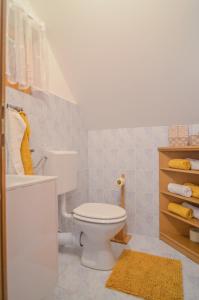 博德森特克Flower house Podčetrtek的浴室配有白色卫生间和盥洗盆。