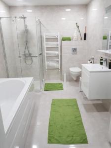 卡尔洛沃GUESTHOUSE MARIA / КЪЩА ЗА ГОСТИ МАРИЯ / GÄSTEHAUS MARIA的带淋浴卫生间和绿色地毯的浴室