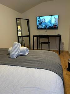 代尔夫特New Delft Garden View Prins Room delta的一间卧室配有一张床和一台平面电视