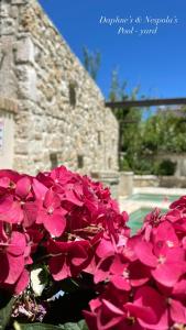 科孚镇Carpofoli Corfu的石头建筑前的一大束粉红色花