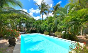 奥拉涅斯塔德旺特斯精品酒店的棕榈树庭院内的游泳池