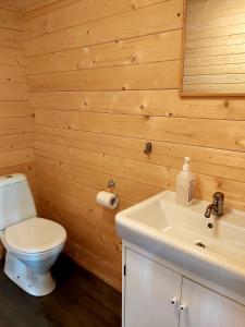 阿克雷里Bakkakot 3 Cozy Cabin In The Woods的一间带卫生间和水槽的浴室