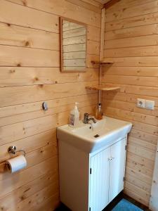 阿克雷里Bakkakot 3 Cozy Cabin In The Woods的一间带水槽和镜子的浴室