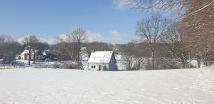 维滕Souterrainwohnung im Grünen的雪覆盖的田野,有房子的背景