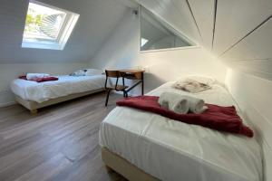 安锡Tiny House - town house in the centre of Annecy terrace & air conditioning的一间卧室配有两张床,床上放着一只猫