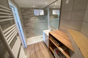 安锡Tiny House - town house in the centre of Annecy terrace & air conditioning的设有带步入式淋浴间和盥洗盆的浴室