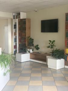 克雷廷加Ecohotel的客厅配有盆栽植物和平面电视
